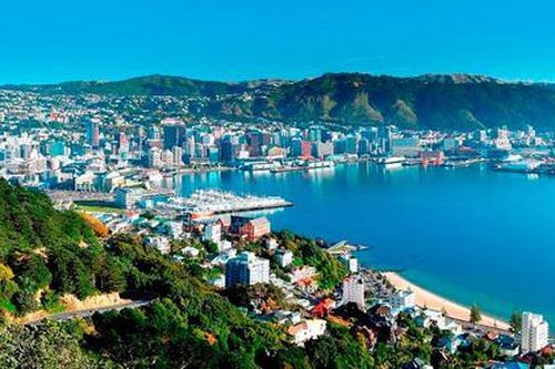 Kinh tế New Zealand tăng trưởng nhờ lĩnh vực sản xuất xi măng