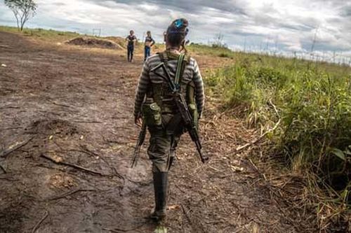 Những ngày du kích cuối cùng của các thành viên FARC