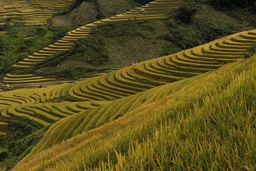 'Kiệt tác' ruộng bậc thang đẹp mê hồn trên thế giới