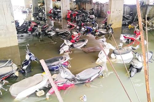Nỗi lo ngập tầng hầm chung cư