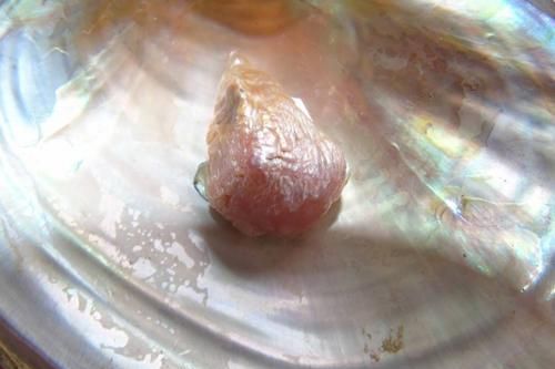 Mò được viên ngọc trai quý hiếm: Trời ban cho số đổi đời