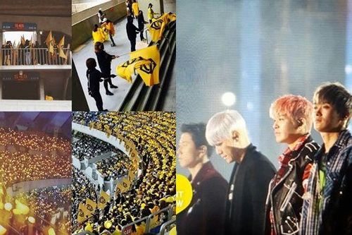 Hãy xem ngay nếu muốn biết thế nào là trung thành tuyệt đối của fandom Kpop!