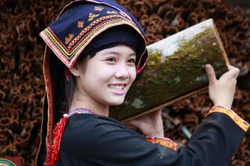 Mãn nhãn ngắm thiếu nữ Dao trong rừng quế