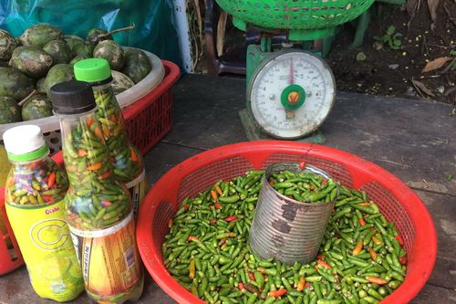 Ghé thăm 'con đường sản vật' của người Cơ Tu