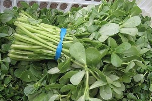 Trị mụn bọc, mụn trứng cá siêu nhanh bằng các loại rau vườn nhà