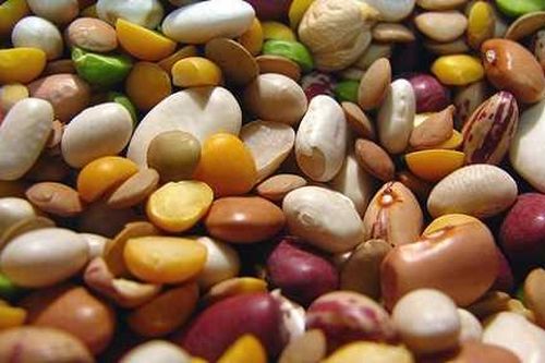 Ăn gì giúp chúng ta… hạnh phúc?