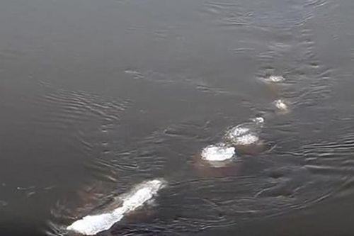 Bất ngờ với clip nghi quái vật hồ Loch Ness 'di cư' đến Alaska