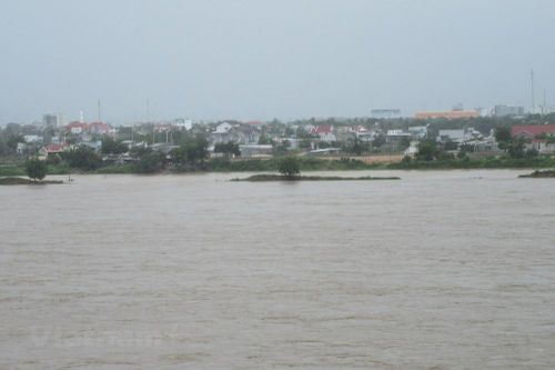 Ninh Thuận: Nhiều diện tích hoa màu chìm trong nước lũ