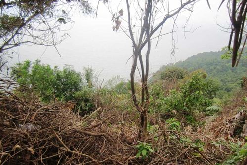 Đi câu cá, phát hiện thi thể thanh niên đã phân hủy