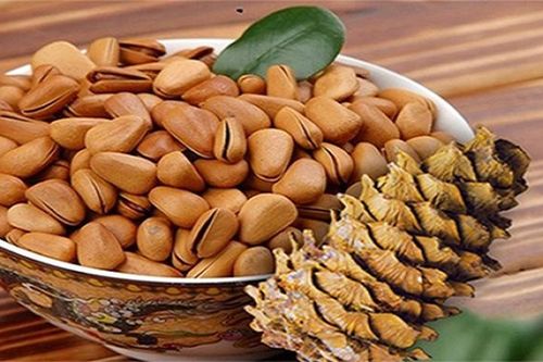 5 công dụng chữa bệnh hay ho của hạt thông