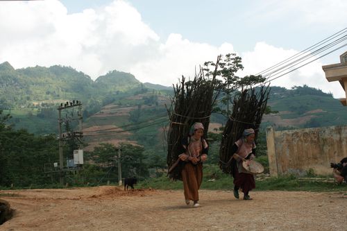 Thành lập Tổ biên tập thực hiện quyết định của Thủ tướng Chính phủ