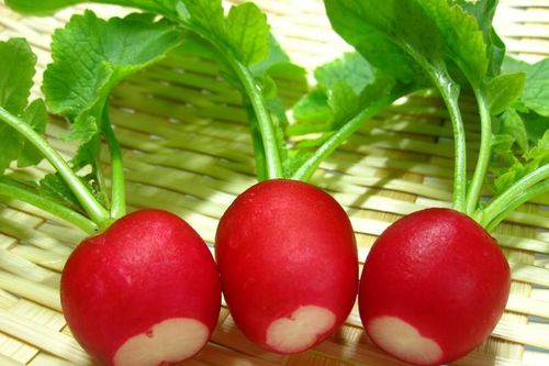 7 bài thuốc hay từ củ cải đỏ bạn cũng bất ngờ
