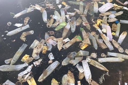 Kinh hãi hình ảnh hàng trăm chiếc bao cao su đã sử dụng nổi lềnh phềnh trên mặt hồ Linh Đàm