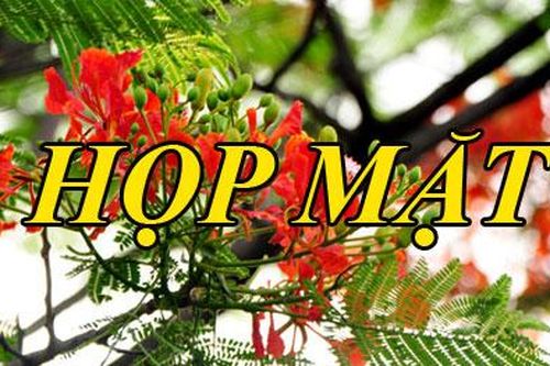Thông báo gặp mặt khóa D7 Đại học Cảnh sát nhân dân (1981-1986)