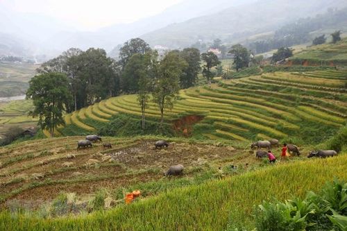 Sa Pa tạm dừng đón khách tại Khu du lịch núi Hàm Rồng
