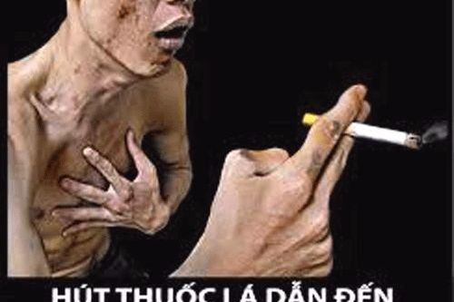 Thuốc lá tàn phá bên trong cơ thể như thế nào?