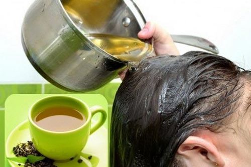 Chăm sóc tóc mùa đông bằng trà xanh