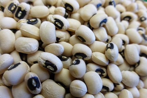 6 thực phẩm chứa nhiều canxi hơn sữa