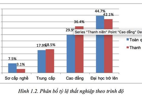 Ai chịu trách nhiệm về việc làm của sinh viên?