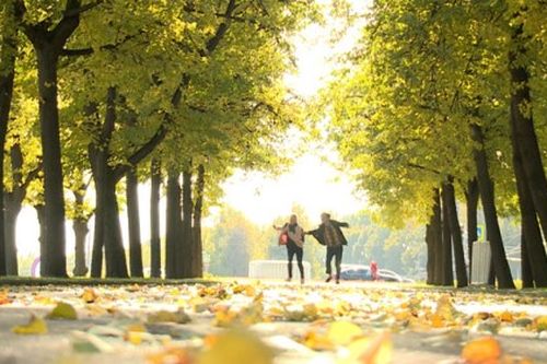 Phim Tết 'Matxcơva – Mùa thay lá'