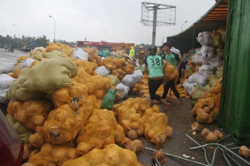 30 tấn dừa đổ ra đường sau tai nạn không mất một trái