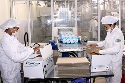 Ứng dụng khoa học công nghệ, nâng cao giá trị nông sản sau thu hoạch