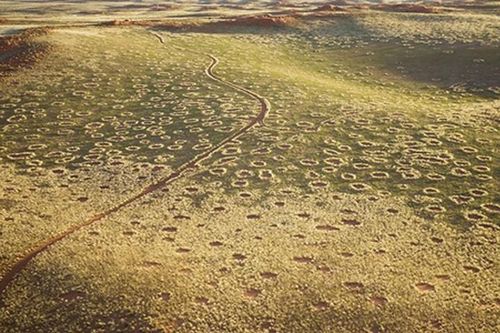 Giải mật bí ẩn vòng tròn thần tiên ở sa mạc Namibia