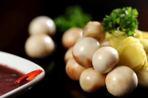 Quả cà pháo bé tý chữa được nhiều bệnh