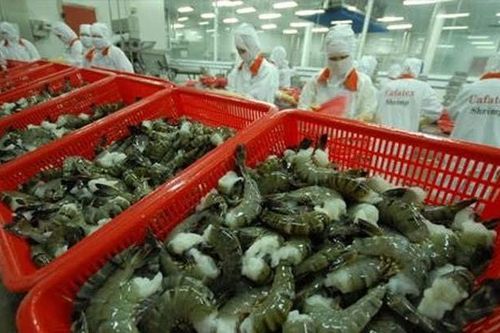 Bộ Công Thương đề nghị Chính phủ Úc sớm bỏ lệnh tạm ngừng nhập khẩu tôm