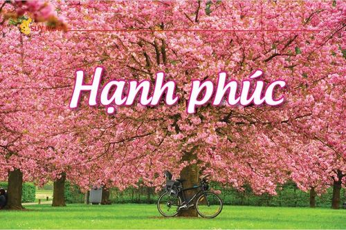 Hạnh phúc