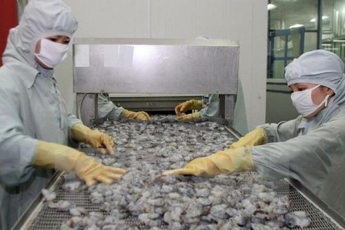 Phấn đấu đến 2025 xuất khẩu tôm đạt 10 tỷ USD