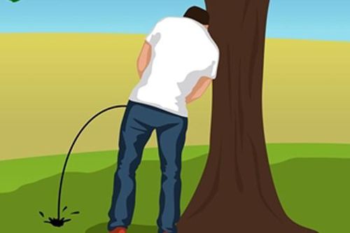 Đàn ông nóng nảy, cộc cằn, cáu gắt, khó đi tiểu… mắc bệnh gì?