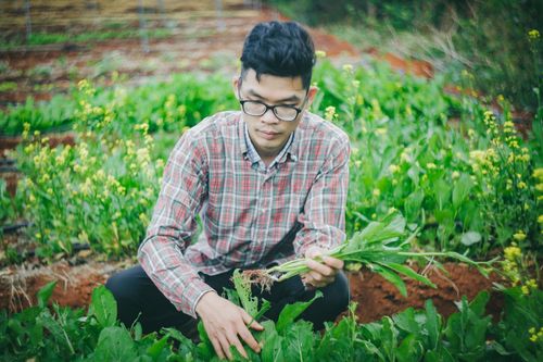 Nhóm 9X từ bỏ công sở về Tây Nguyên làm nông dân