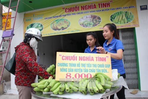 Tây Ninh chung tay 'giải cứu' chuối ế cho nông dân