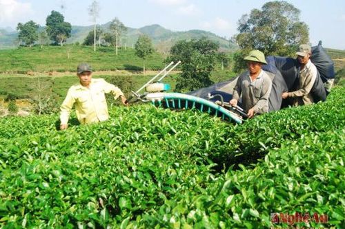 Thanh Chương: Bước chuyển ở các xã vùng biên