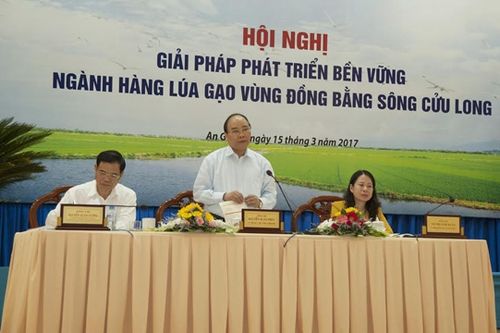 Cần một tầm nhìn mới cho người trồng lúa