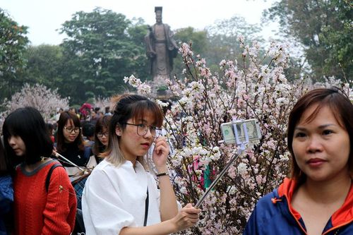 Mốt lạ: Làm đẹp 'dế yêu' bằng tiền mặt