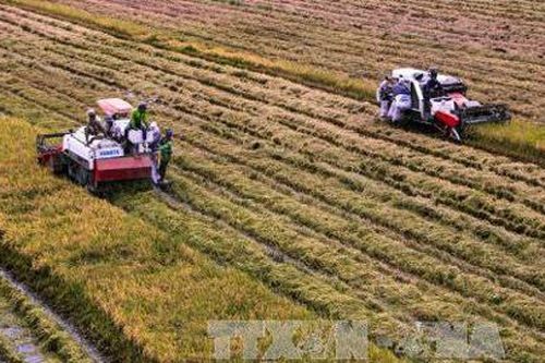 Mở rộng hạn điền: Gỡ những nút thắt ở chuyện 'nới diện tích'