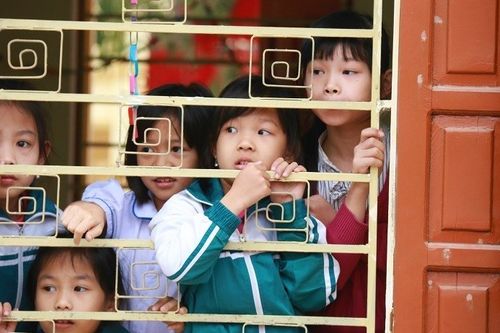 Sẽ tiến hành khảo sát diện rộng về chương trình tiếng Anh liên kết