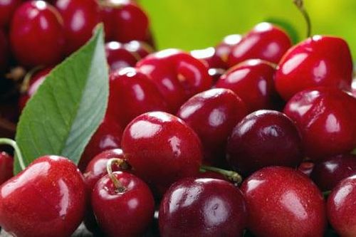 9 thức ăn đêm tốt nhất để giảm cân chị em khó có thể bỏ qua