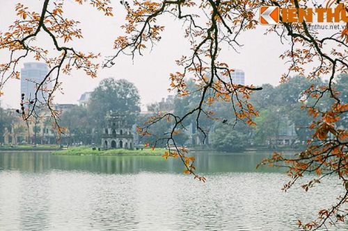 Hà Nội đẹp nao lòng mùa cây thay lá
