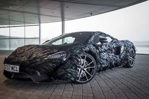 Siêu xe McLaren 570GT bọc... lông chim độc dị