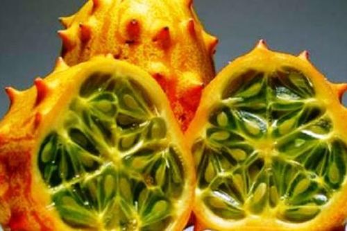 Dinh dưỡng của dưa chuột Nhật 400.000 đồng/quả khác gì với dưa chuột Việt?