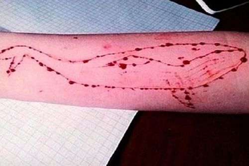'Trò chơi sinh tử' khiến hàng trăm thanh thiếu niên tự sát