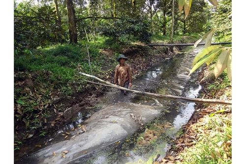 Vĩnh Long chủ động ứng phó hạn, mặn