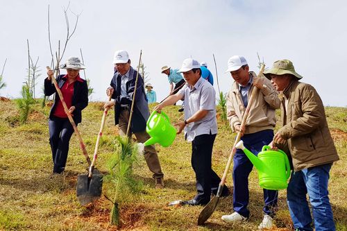 Trồng mới 1.000 cây xanh tại Đà Lạt