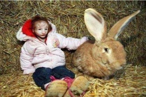 Bé 10 tuổi nhỏ như con thỏ và phép màu có thật