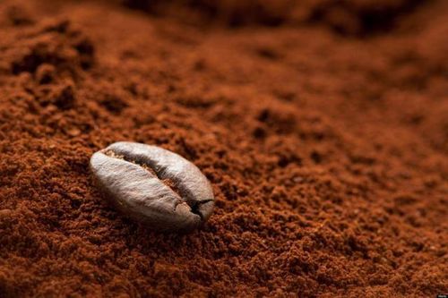 Mẹo phân biệt cà phê thật, giả