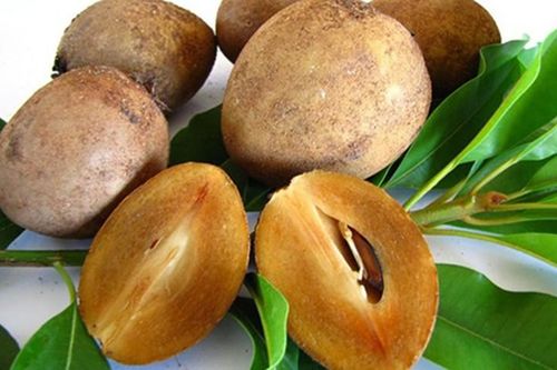 Vì sao bạn nên thường xuyên mua hồng xiêm về ăn?