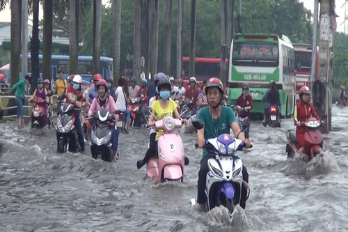 Chống ngập tại TPHCM: Có cống cũng như không